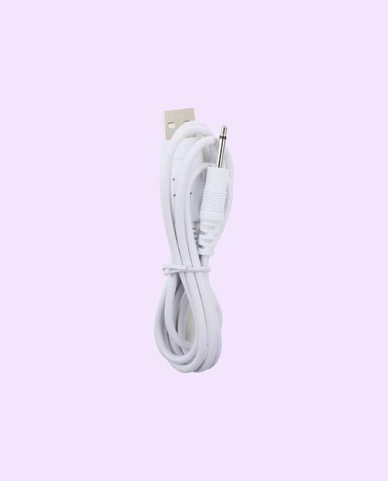 Mini Jack 2.5mm DC 5.0V Charging Cable - For RockHer & All 2.0 Devices - Image 2